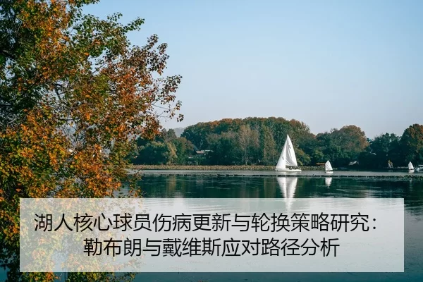 hu-ren-he-xin-qiu-yuan-shang-bing-geng-xin-yu-lun-huan-ce-lve-yan-jiu-lei-bu-lang-yu-dai-wei-si-ying-dui-lu-jing-fen-xi-2-417.jpg