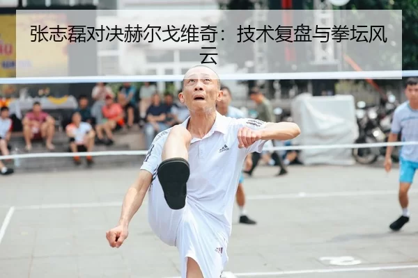 张志磊对决赫尔戈维奇：技术复盘与拳坛风云